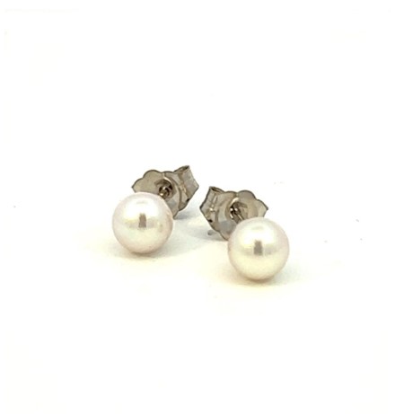 14Kt White Gold 5mm Cultured Pearl Stud Earrings