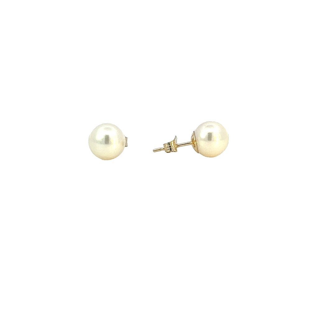 14Kt Yellow Gold 8mm Pearl Stud Earrings