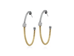 [03-34-S178-11] Diamond Yellow And Grey Hoop Earrings 0.13cttw